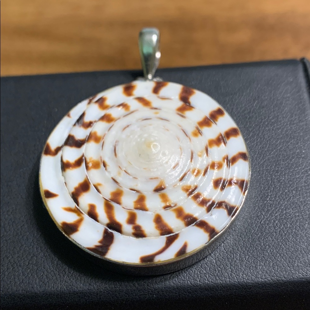 Seashell Pendant - image 1